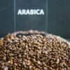 Buy Arabica Sc18 Arabica Green Coffee - wholesale supplier | AgroFoods Global
