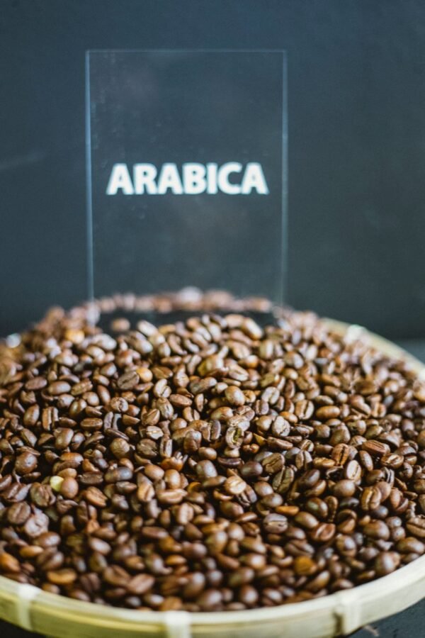 Buy Arabica Sc18 Arabica Green Coffee - wholesale supplier | AgroFoods Global