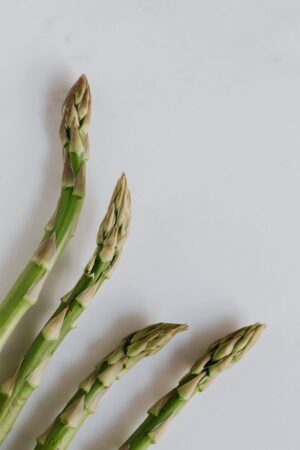 Baby Asparagus 125g UAE – Fresh Thai Baby Asparagus Wholesale & Supplier Dubai - wholesale supplier | AgroFoods Global