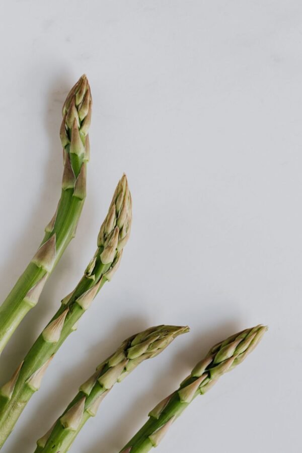 Asparagus — Bulk & Wholesale Supply Baby Asparagus 125g UAE – Fresh Thai Baby Asparagus Wholesale & Supplier Dubai - wholesale supplier | AgroFoods Global