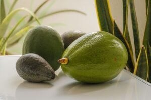 Avocado - wholesale supplier | AgroFoods Global