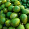 Avocados — Bulk & Wholesale Supply Hass Avocado UAE – Premium Fresh Avocados Wholesale & Retail Supply - wholesale supplier | AgroFoods Global