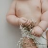 Baby — Bulk & Wholesale Supply BRC HACCP Certified IQF Frozen Baby - wholesale supplier | AgroFoods Global
