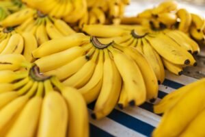 Charlie banana wet bag, piece of 1 – Wholesale & Export UAE - wholesale supplier | AgroFoods Global