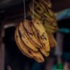 Small Yellow Banana UAE – Fresh Baby Bananas India Wholesale & Supplier Dubai (Sweet, Snack-Size) - wholesale supplier | AgroFoods Global