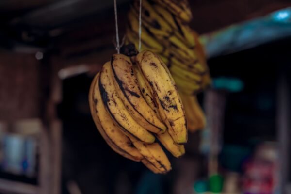 Small Yellow Banana UAE – Fresh Baby Bananas India Wholesale & Supplier Dubai (Sweet, Snack-Size) - wholesale supplier | AgroFoods Global