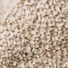 Natural Green Mung Beans from India - wholesale supplier | AgroFoods Global