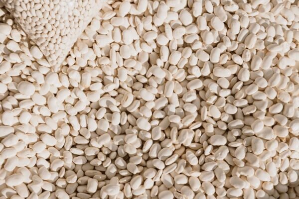 Natural Green Mung Beans from India - wholesale supplier | AgroFoods Global