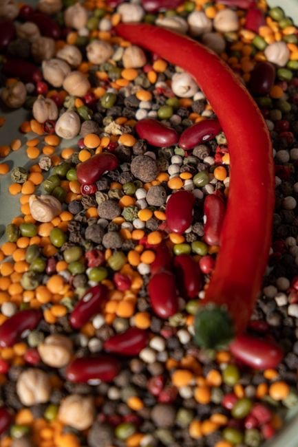 Factory Direct Premium Lentil Halal Vegan - wholesale supplier | AgroFoods Global