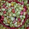 IQF Grade A Frozen Green Beans - wholesale supplier | AgroFoods Global