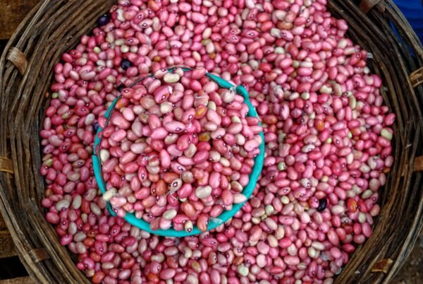Mr. Organic Aduki Beans 400g – Wholesale & Export UAE - wholesale supplier | AgroFoods Global