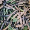 Mr. Organic Black Beans 400g – Wholesale & Export UAE - wholesale supplier | AgroFoods Global