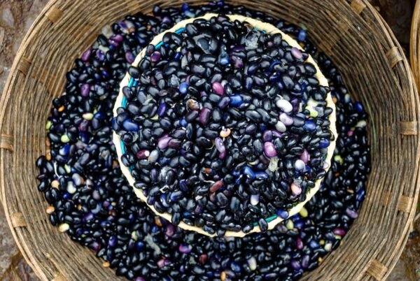 Red Beans - wholesale supplier | AgroFoods Global