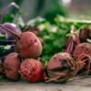 Organic Traditions Beet Latte With Fermented Beet And Probiotic 150g – Wholesale & Export UAE - wholesale supplier | AgroFoods Global
