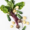 Premium High Protein Beet Pulp 100 - wholesale supplier | AgroFoods Global
