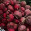 Beetroot UAE – Fresh Beetroot Wholesale Supplier & Exporter - wholesale supplier | AgroFoods Global
