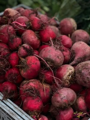 Beetroot UAE – Fresh Beetroot Wholesale Supplier & Exporter - wholesale supplier | AgroFoods Global