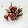 Baby Beetroot - wholesale supplier | AgroFoods Global