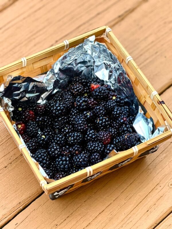 Premium IQF Frozen Blackberries Whole Berries - wholesale supplier | AgroFoods Global