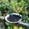 Bright Bites Pure Harvest Blackberries UAE – Fresh UAE-Grown Berries Wholesale - wholesale supplier | AgroFoods Global