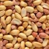 High Quality Organic WW240 Blanched Cashew - wholesale supplier | AgroFoods Global