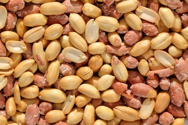High Quality Organic WW240 Blanched Cashew - wholesale supplier | AgroFoods Global