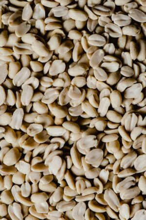 Vietnam Organic LP SP Grade Blanched - wholesale supplier | AgroFoods Global