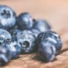 IQF Frozen Blueberries ISO HACCP Certified - wholesale supplier | AgroFoods Global
