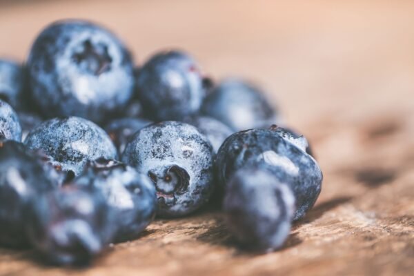 IQF Frozen Blueberries ISO HACCP Certified - wholesale supplier | AgroFoods Global