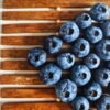 Blueberries 125grm - wholesale supplier | AgroFoods Global