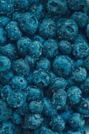 Blueberries 200g UAE – Fresh Premium Berries Dubai Online - wholesale supplier | AgroFoods Global