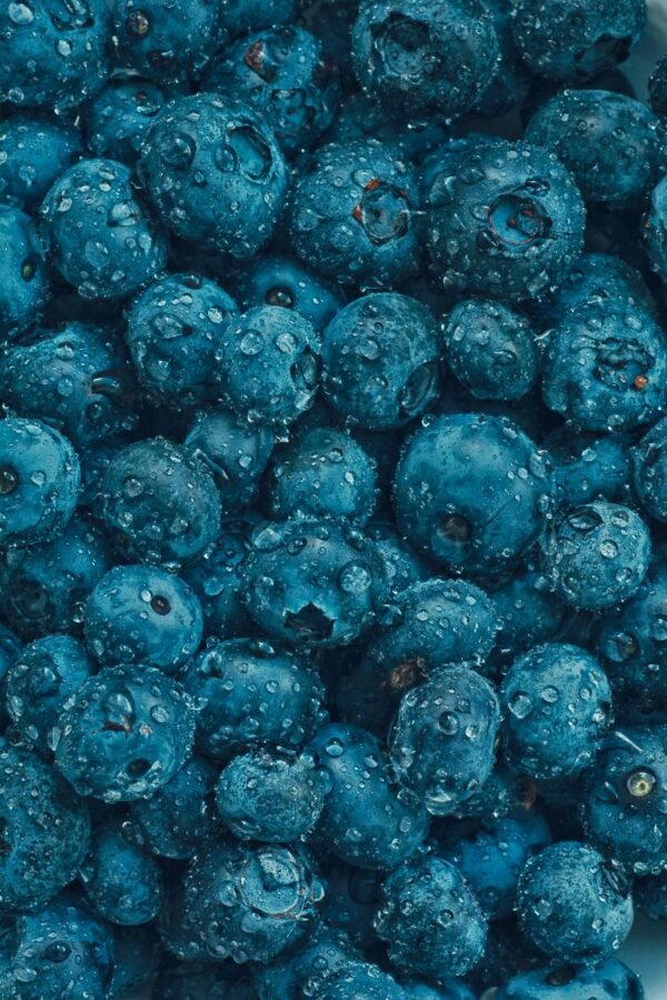 Blueberry — Bulk & Wholesale Supply Blueberry - wholesale supplier | AgroFoods Global