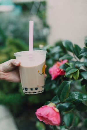 Top Selling Small Model Boba Maker - wholesale supplier | AgroFoods Global