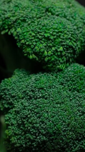 Broccoli - wholesale supplier | AgroFoods Global