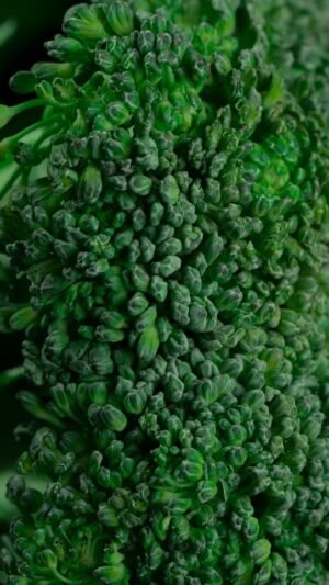 Fresh Broccoli Near Me - wholesale supplier | AgroFoods Global