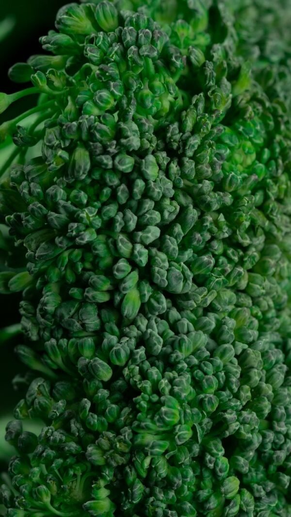 Fresh Broccoli Near Me - wholesale supplier | AgroFoods Global