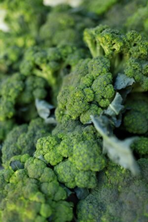 Gerber Organic Veggies Orange Mix Green Peas, Broccoli and Zucchini, 125g – Wholesale & Export UAE - wholesale supplier | AgroFoods Global