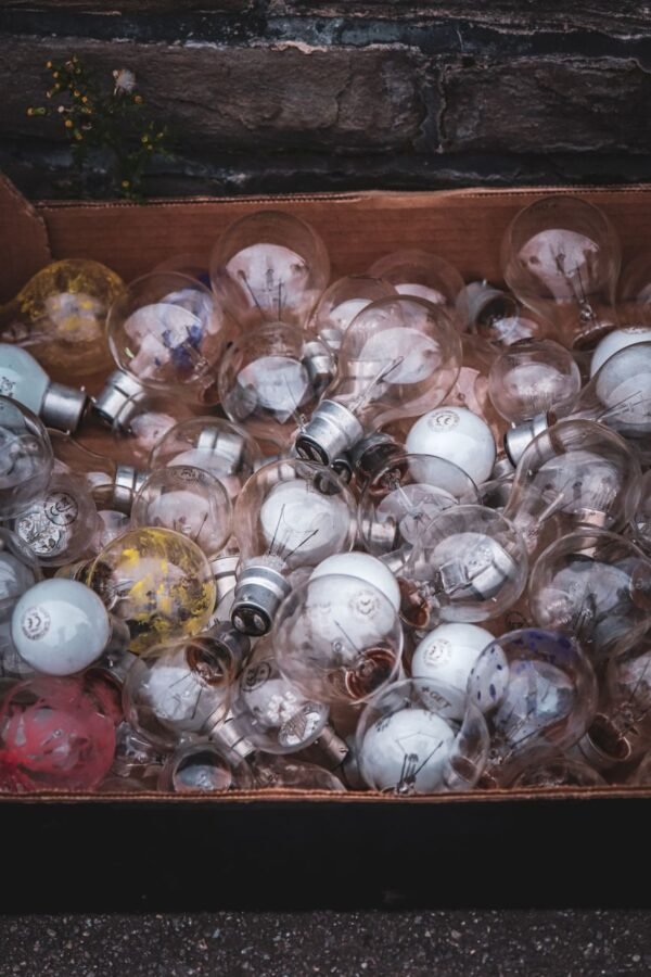 Bulbs — Bulk & Wholesale Supply