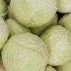 Cabbage Savoy - wholesale supplier | AgroFoods Global