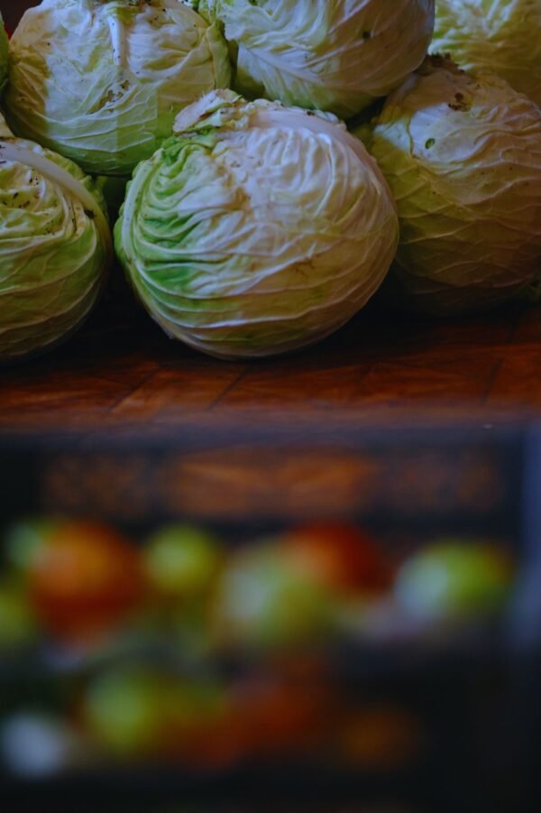 Cabbage Red - wholesale supplier | AgroFoods Global
