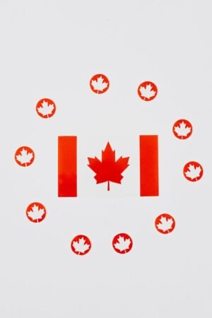 Frozen Live Canadian Lobster Nephrops Norvegicus - wholesale supplier | AgroFoods Global