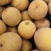 Rock Melon UAE – Fresh Cantaloupe Wholesale Supplier Dubai - wholesale supplier | AgroFoods Global