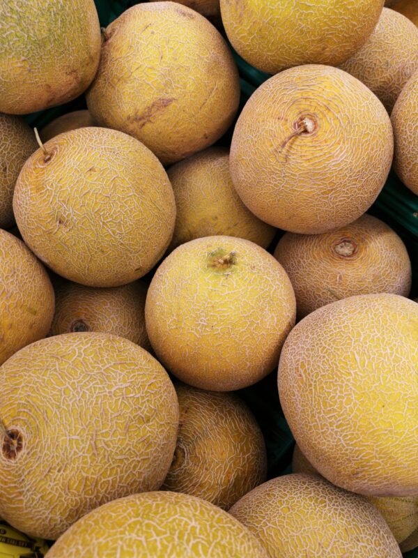 Rock Melon UAE – Fresh Cantaloupe Wholesale Supplier Dubai - wholesale supplier | AgroFoods Global