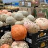 Rock Melon Cantaloupe - wholesale supplier | AgroFoods Global