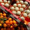 Rock Melon UAE – Fresh Cantaloupe Oman Dubai - wholesale supplier | AgroFoods Global