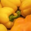 Capsicum Mix - wholesale supplier | AgroFoods Global