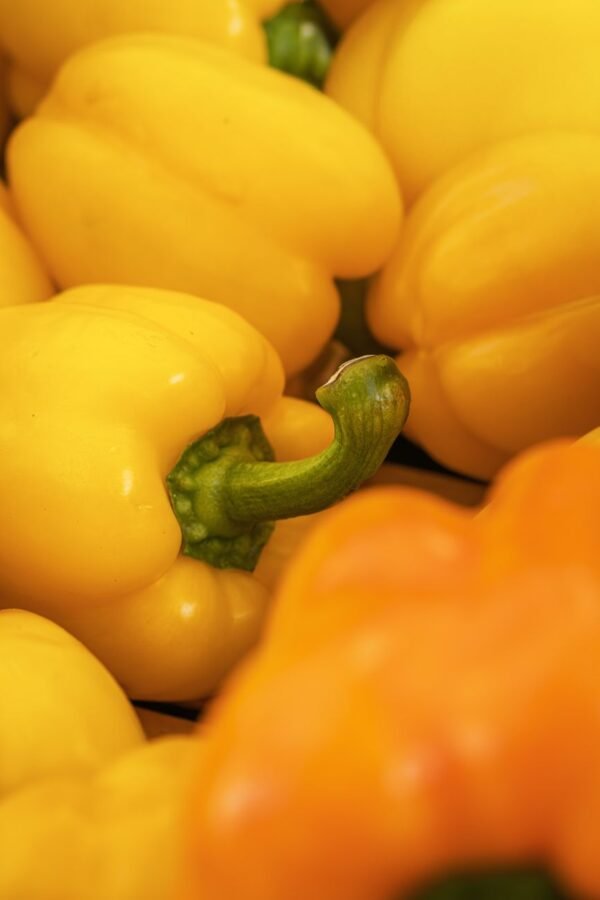 Capsicum Mix - wholesale supplier | AgroFoods Global