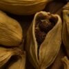 Cardamom - wholesale supplier | AgroFoods Global