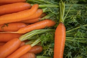 Carrot Red Gajar - wholesale supplier | AgroFoods Global