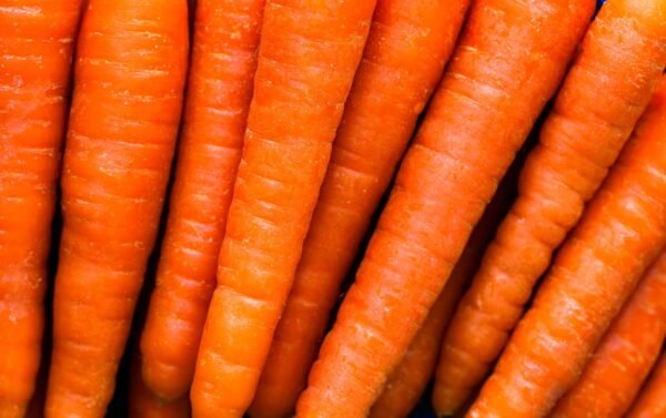 Carrot — Bulk & Wholesale Supply Carrot China 4 kg Box - wholesale supplier | AgroFoods Global